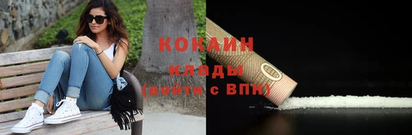 дурь Бронницы