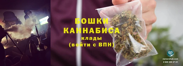 дурь Бронницы