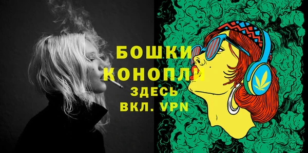 дурь Бронницы